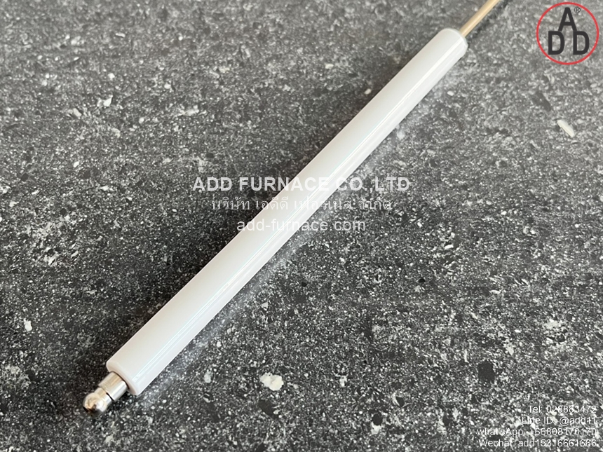 Riello Electrode 3005593(6)